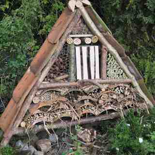 Lok vlinders naar je tuin met een insecten hotel